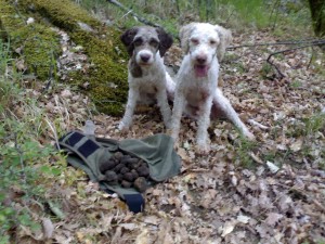 a scorzoni 20-06-09 (6)